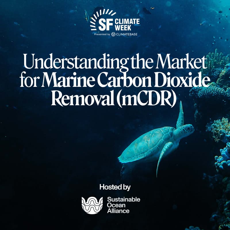 Cover Image for Understanding the market for Marine Carbon Dioxide Removal (mCDR)