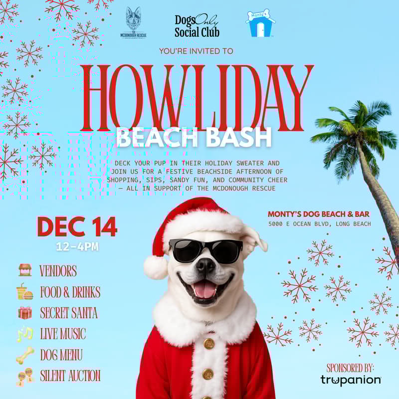 Cover Image for Howliday Beach Bash