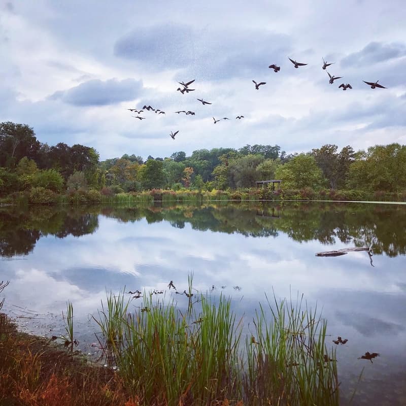 Cover Image for Listening with Gratitude