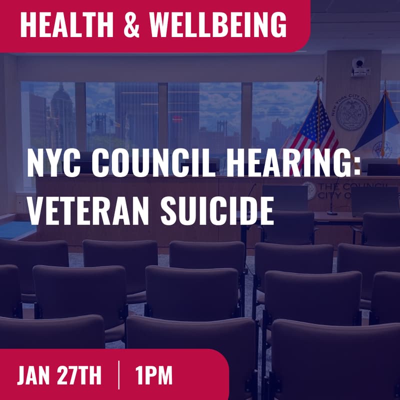 Cover Image for NYC Council Hearing: Veteran Suicide