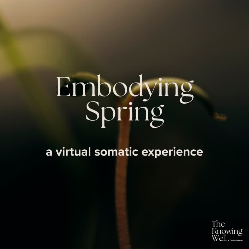 Cover Image for Embodying Spring