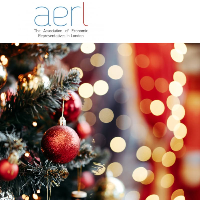 Cover Image for AERL Christmas Drinks Reception