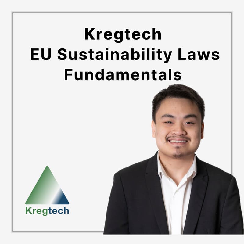 Cover Image for EU Sustainability Laws Fundamentals: Beyond CSRD, CSDDD, EU Taxonomy