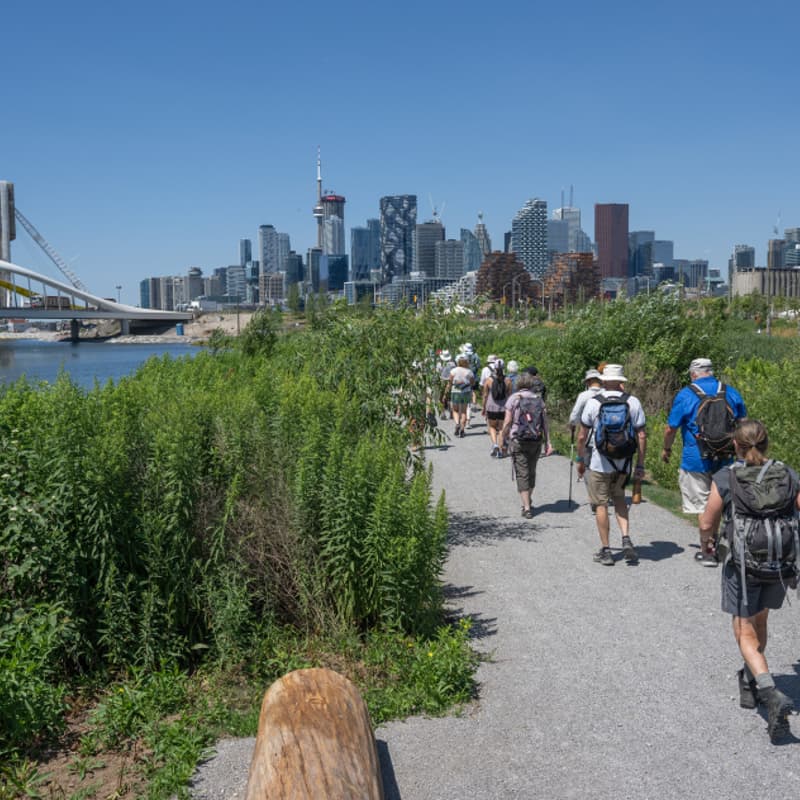 Cover Image for Guided Tour: Biidaasige Park Urban Forestry Tour