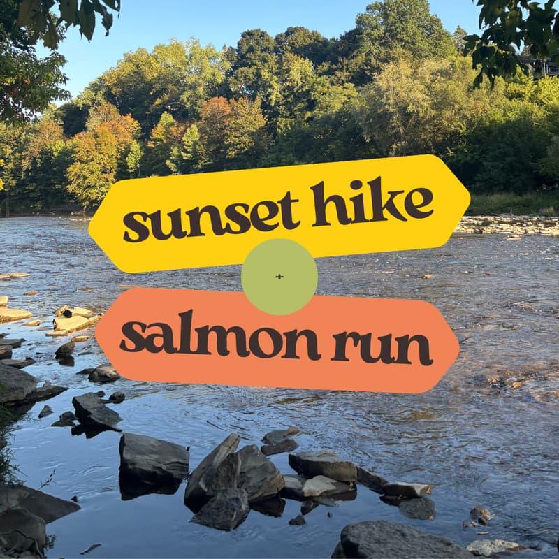Cover Image for Midweek Reset Series: Sunset Hike + Salmon Run