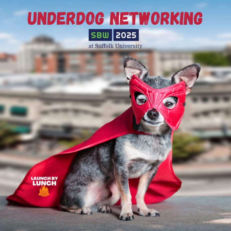 Cover Image for Underdog Networking
