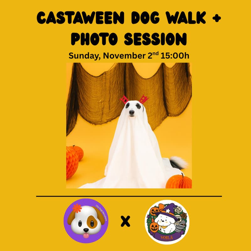 Cover Image for Castaween Dog Walk & Photo Session | City Dogs x Voilá