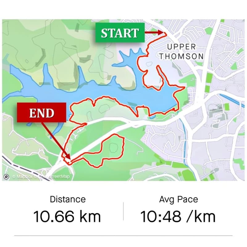 Cover Image for MacRitchie + Bukit Brown Cemetery Walk