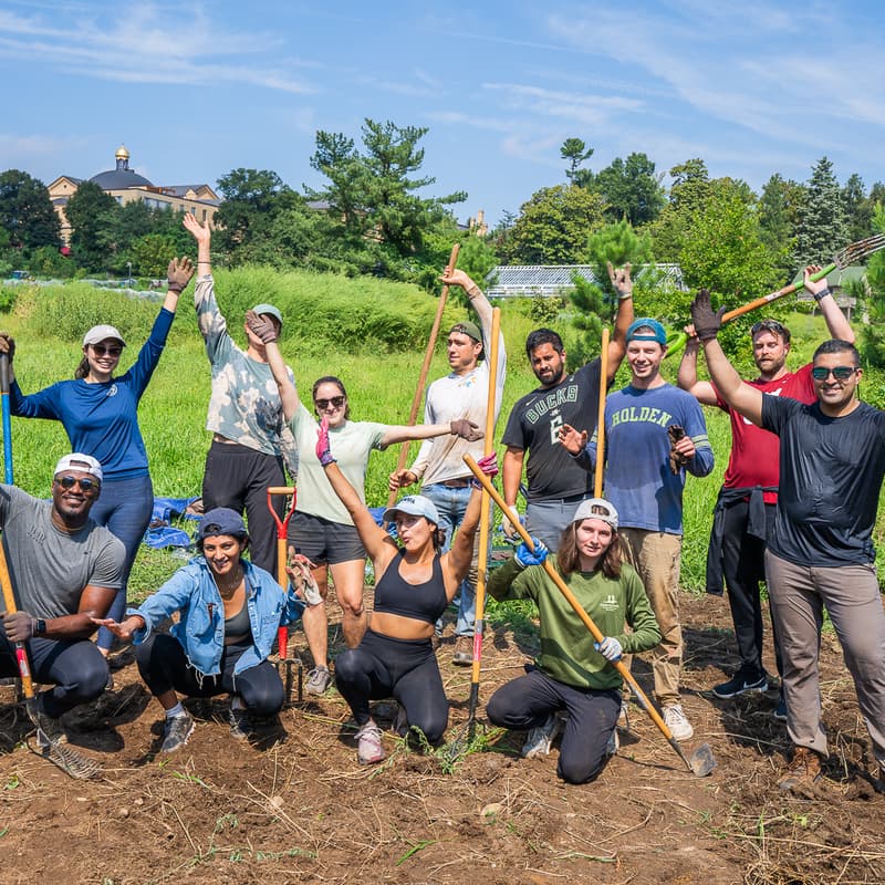 Cover Image for 🌱 Climate DC Volunteering: Community Garden