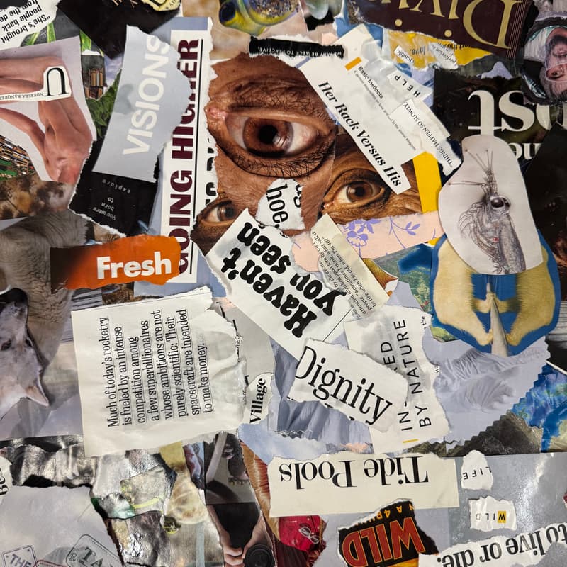 Cover Image for Bad Art Club: Tearing Sh-t Up & Sticking It Down - Open Registration