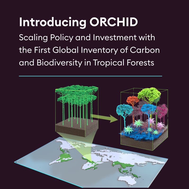 Cover Image for Introducing ORCHID: Scaling Policy and Investment with the First Global Inventory of Carbon and Biodiversity in Tropical Forests