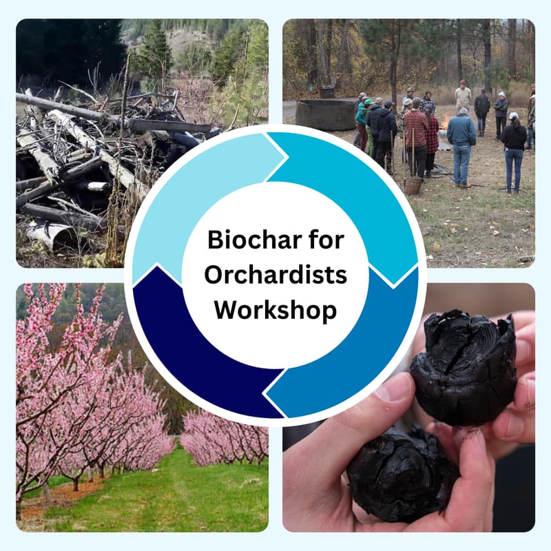 Cover Image for Orchard Biochar Demonstration & Workshop