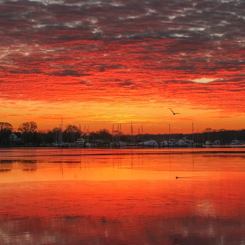 Cover Image for Annapolis Idealists: 4/4 Community Meet-up