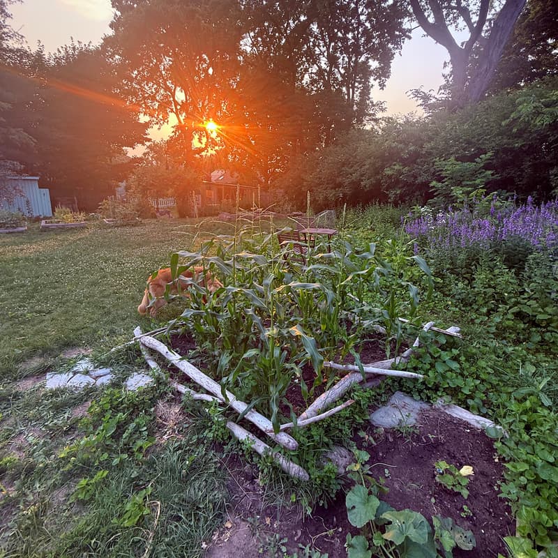 Cover Image for Burlington Backyard Marketing Meetup: First Annual