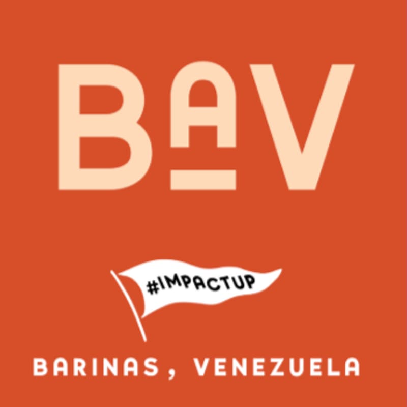 Cover Image for ImpactUp x Barinas