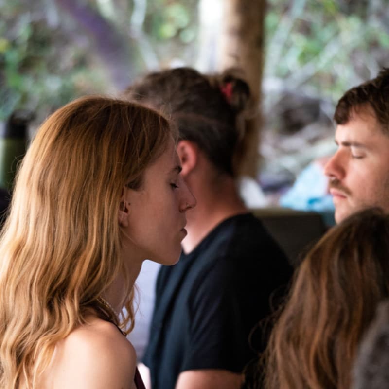 Cover Image for The Innate Residency