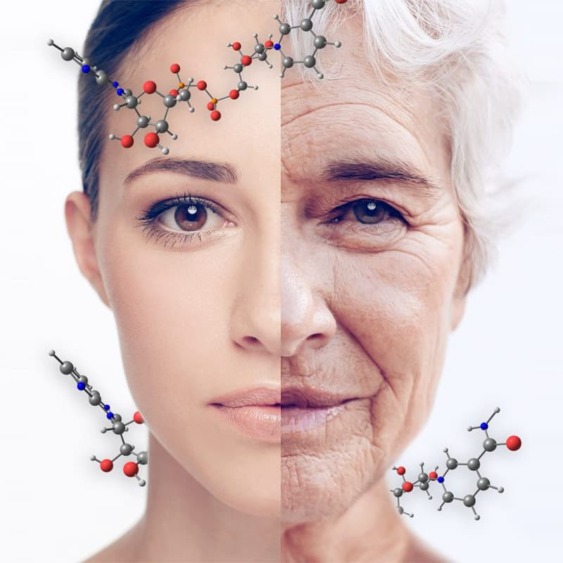 Cover Image for Democratizing Longevity: Founders Turning Innovation into Access (public event)