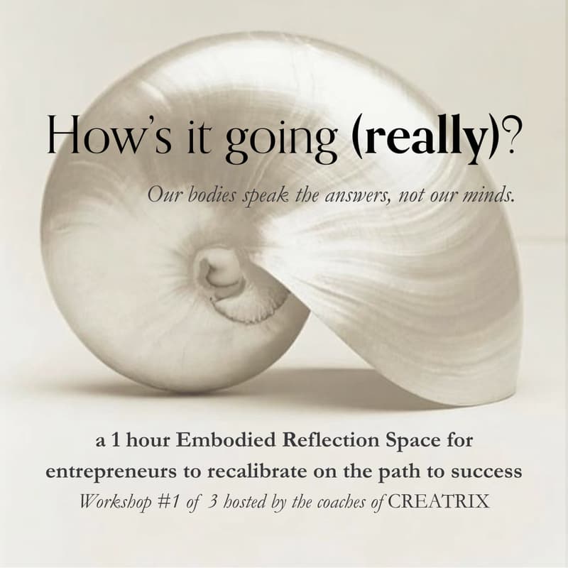 Cover Image for CREATRIX Embodied Reflection Space | How's it going (really)? (#1/3)