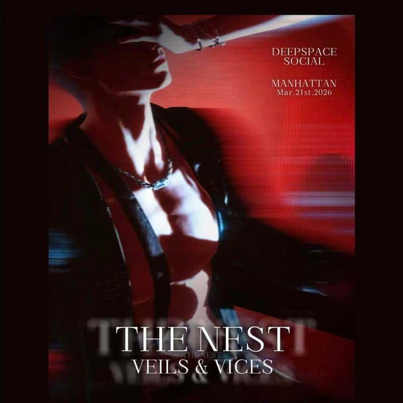 Cover Image for THE NEST: Veils & Vices