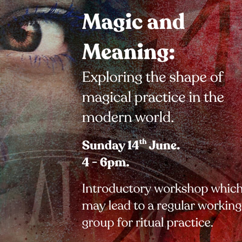 Cover Image for Magic and Meaning