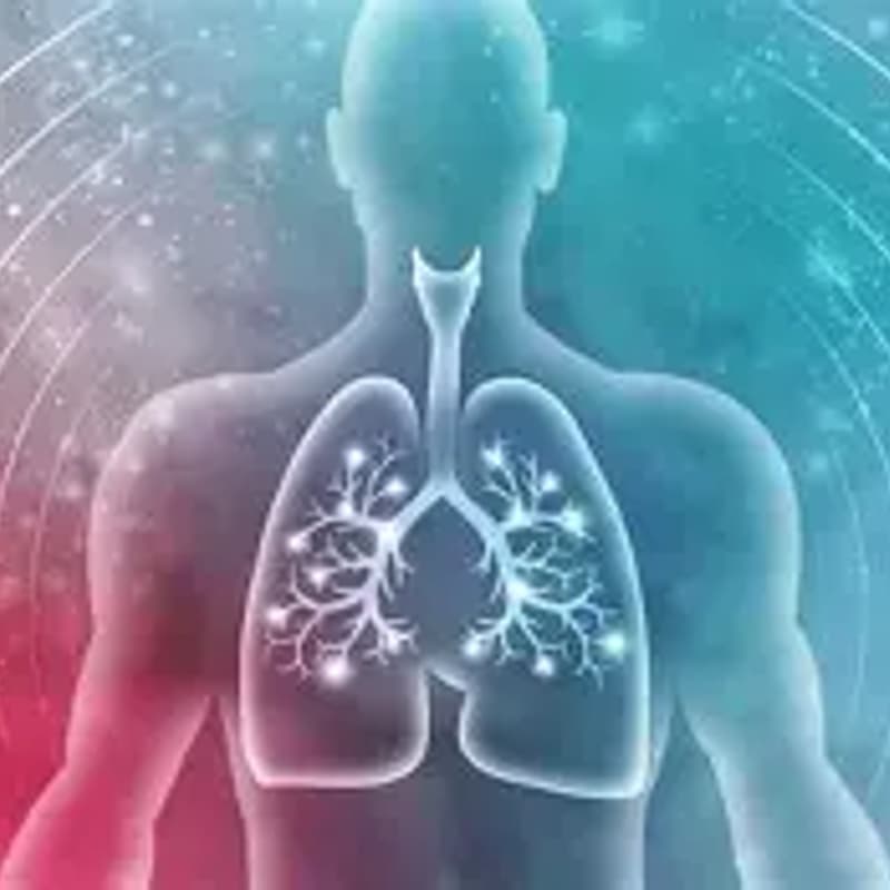 Cover Image for VHS Kurs Atemworkshop für Gesundheit, Wohlbefinden und Stressabbau Basiskurs