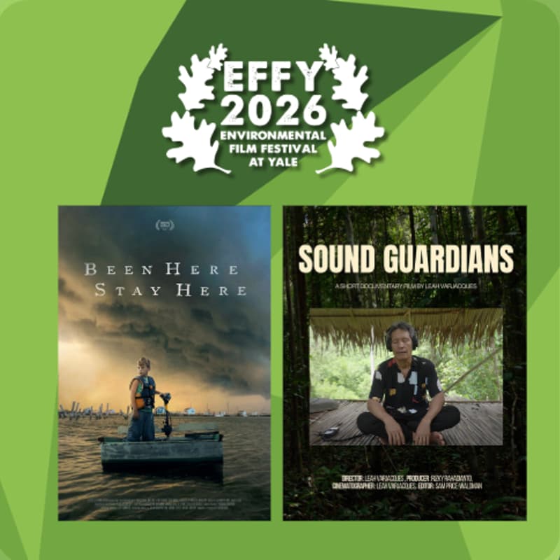 Cover Image for EFFY Night One: Remembering Place in a Changing Climate