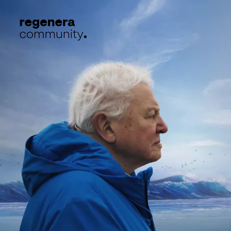 Cover Image for Una noche con el océano y Sir David Attenborough