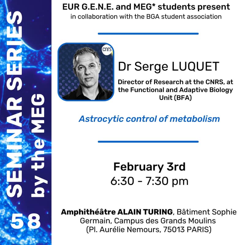 Cover Image for Astrocytic control of metabolism, Dr Serge Luquet