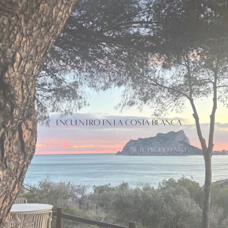 Cover Image for DOMO EXPLORE