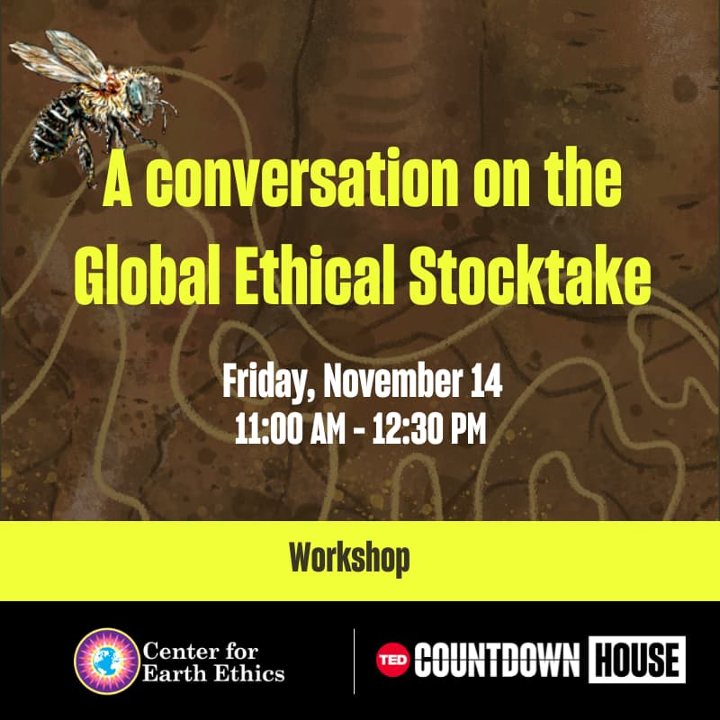 Cover Image for A conversation on the Global Ethical Stocktake