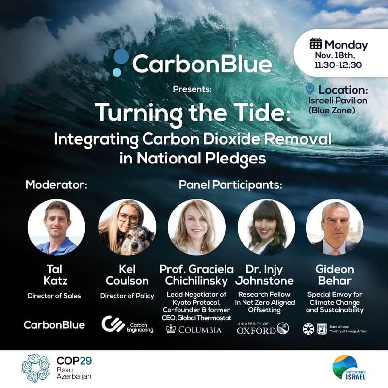 Cover Image for Turning the Tide: Integrating Carbon Dioxide Removal in National Pledges