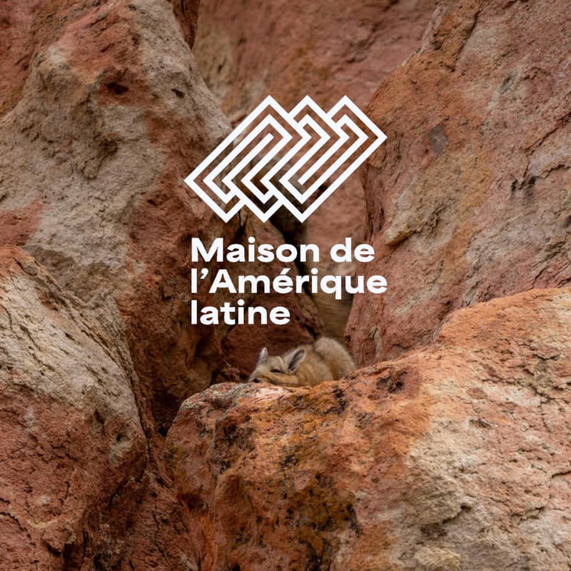 Cover Image for Projection "Rewilding Patagonia" à la Maison de l'Amérique latine