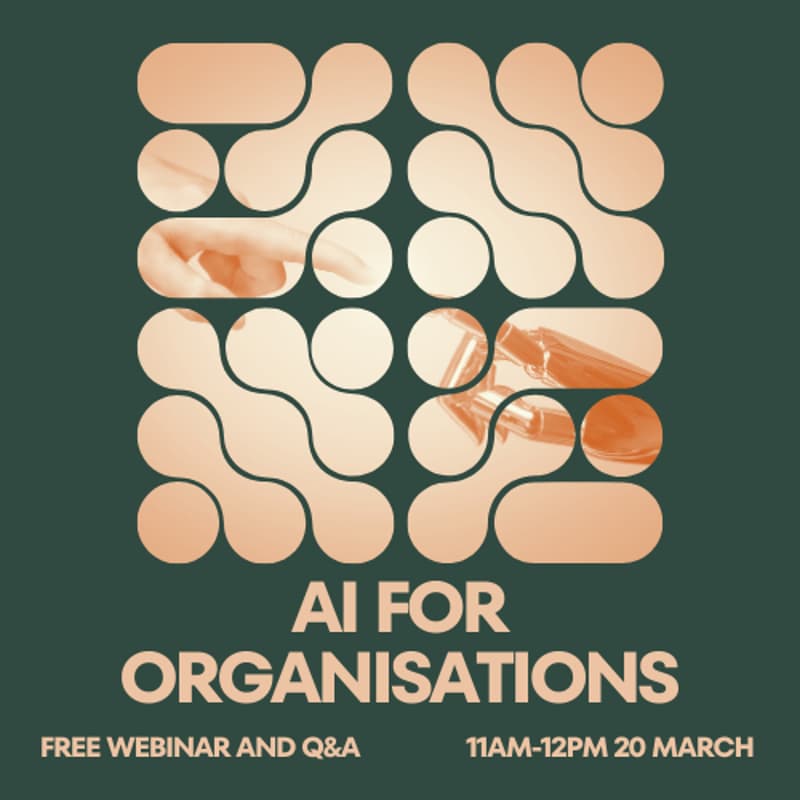 Cover Image for AI for Organisations: Seminar and Q&A