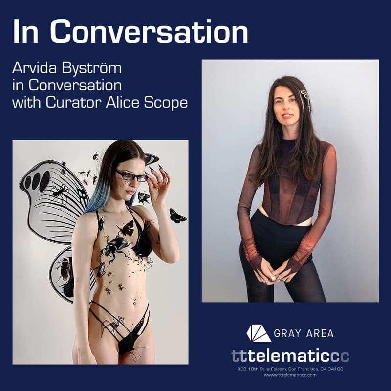 Cover Image for Arvida Byström: In Conversation with Curator Alice Scope