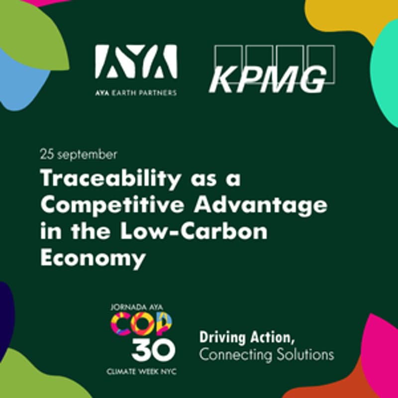 Cover Image for Traceability as a Competitive Advantage in the Low-Carbon Economy