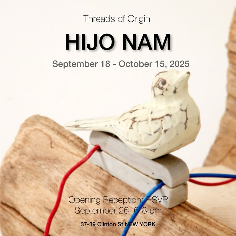 Cover Image for Hijo nam Solo Exhibition Threads of Origin