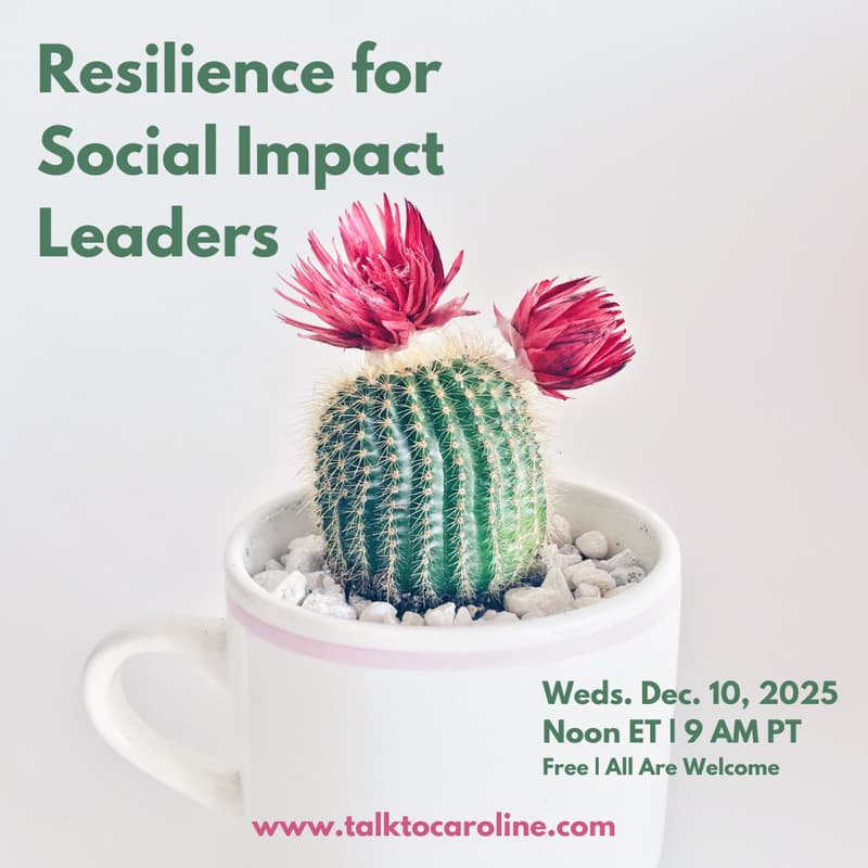 Cover Image for Resilience for Social Impact Leaders