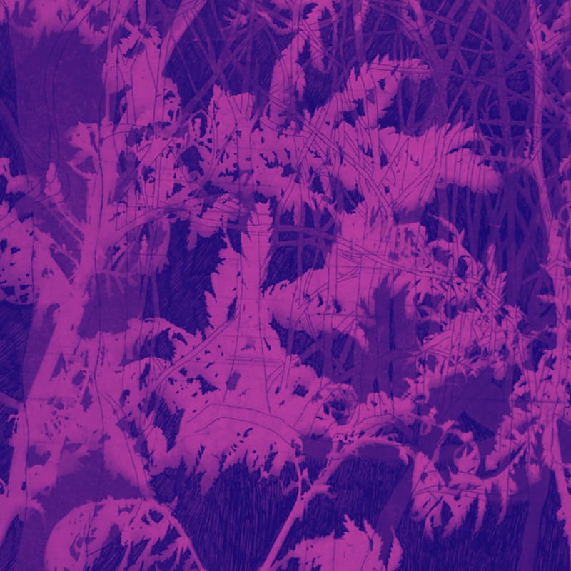 Cover Image for TFF: Ink Blood Sister Scribe