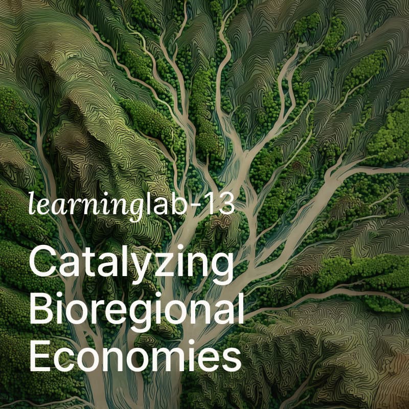 Cover Image for Learning Lab 13: Catalyzing Bioregional Economies