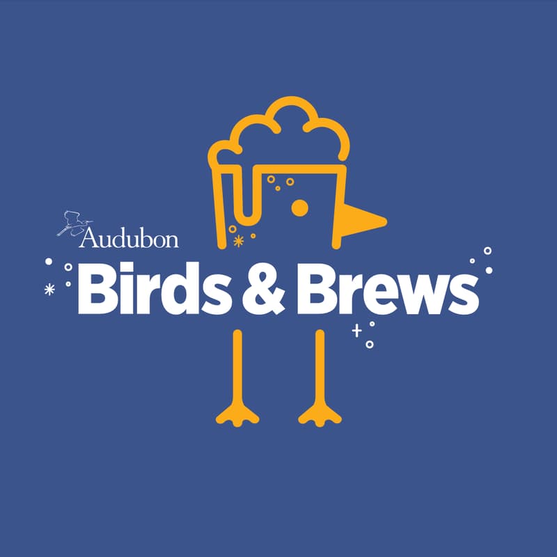 Cover Image for Birds & Brews
