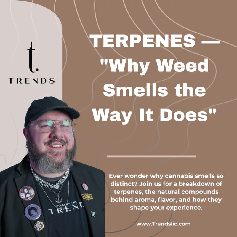 Cover Image for TERPENES - "Why Weed Smells The Way It Does."