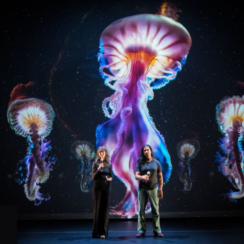 Cover Image for Memo Akten & Katie Hofstadter: Superradiance — Exhibition Opening Reception