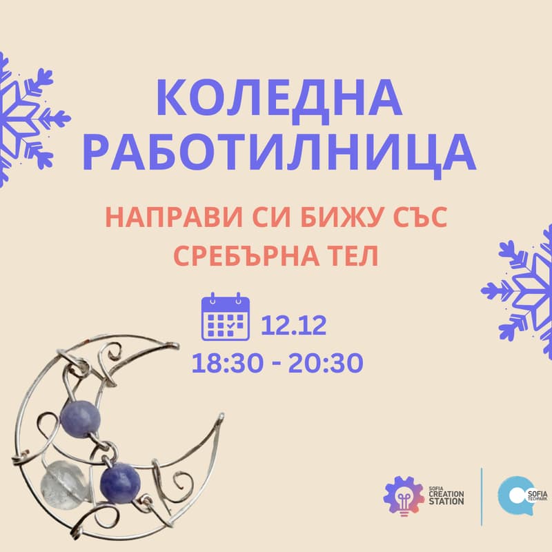Изображение за корица за Коледна работилница: Направи си бижу със сребърна тел