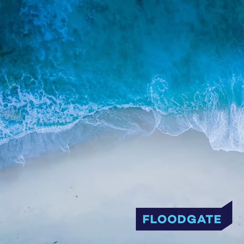 Cover Image for Floodgate: Friends and Family