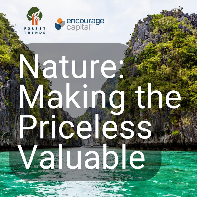 Cover Image for Nature: Making the Priceless Valuable - Round three!