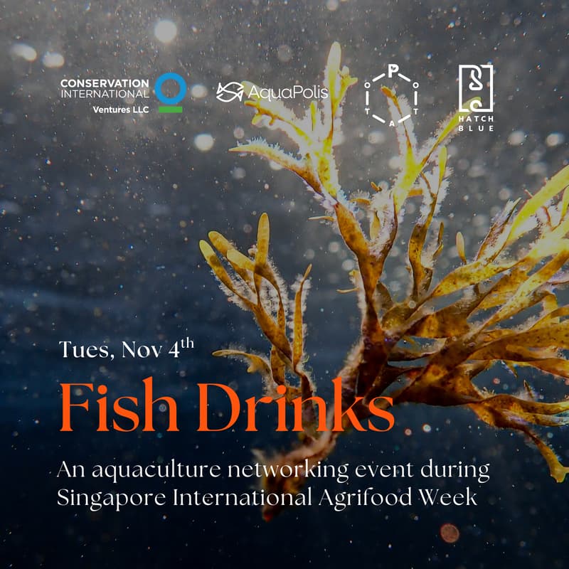 Cover Image for Fish Drinks SG - 4 Nov 2025