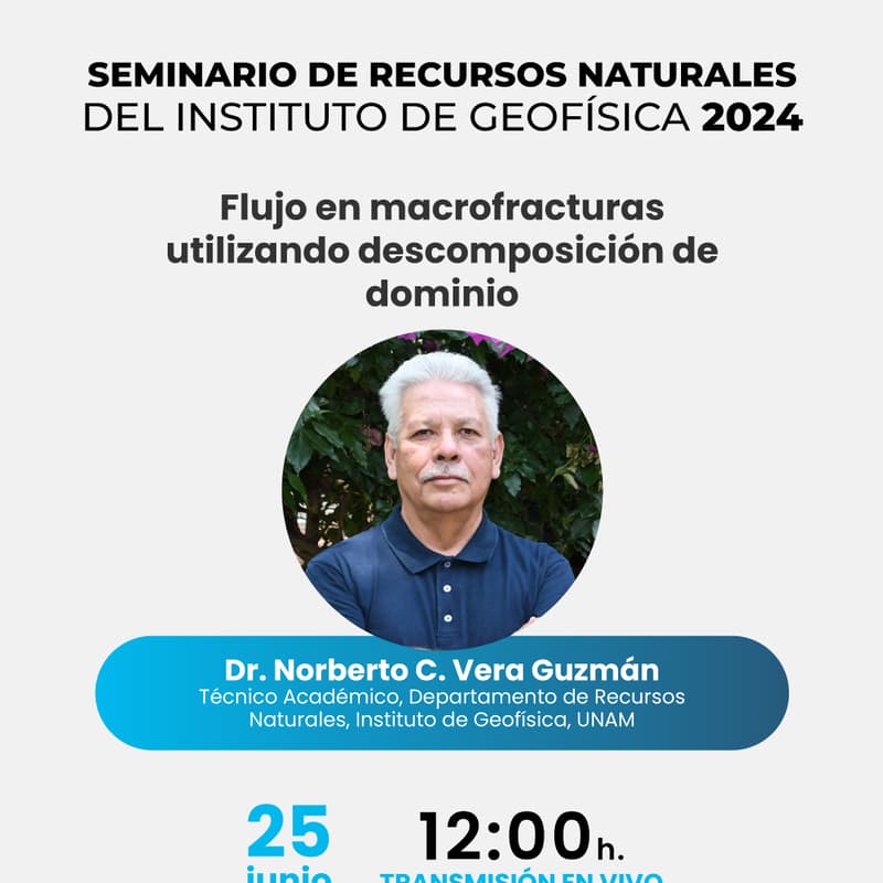 Cover Image for Flujo en macrofracturas utilizando descomposición de dominio