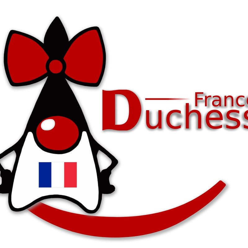 Cover Image for Apprendre en permanence sans s'épuiser — Table ronde Duchess France @ Devoxx