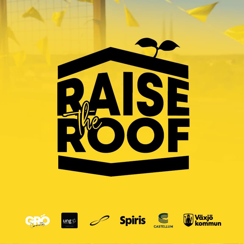 Cover Image for Raise the Roof