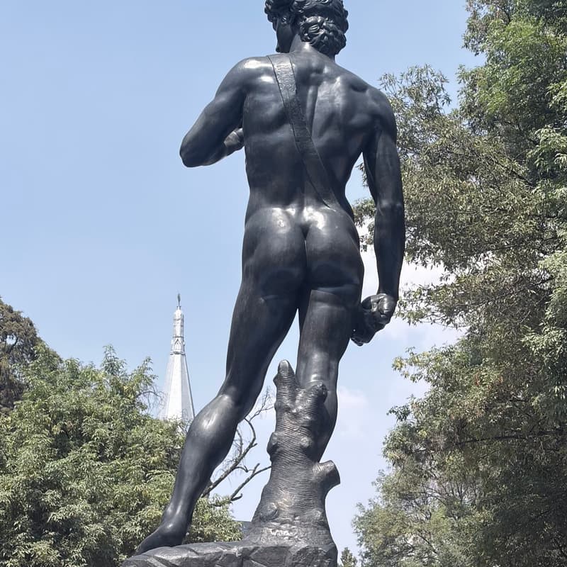 Cover Image for Experiential Amigos in CDMX